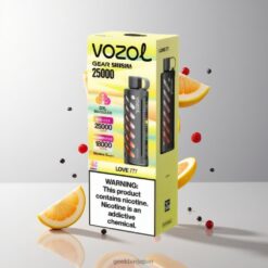 VOZOL Gear Shisha 25000 Puffs デュアルメッシュデュアルモード & 1000mAh バッテリー容量 卸売業者 日本 30 Flavors