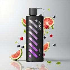 VOZOL Gear Shisha 25000 Puffs デュアルメッシュデュアルモード & 1000mAh ベリーミント 卸売業者 日本