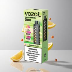 VOZOL Gear Shisha 25000 Puffs デュアルメッシュデュアルモード & 30 Delicious Flavors 卸売業者 日本