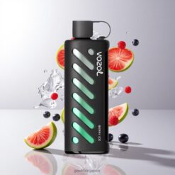 VOZOL Gear Shisha 25000 Puffs デュアルメッシュデュアルモード 30 Flavors 卸売業者 日本