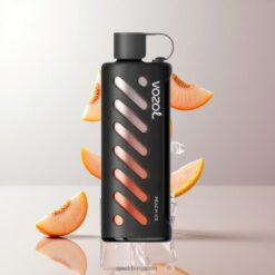VOZOL Gear Shisha 25000 Puffs デュアルメッシュデュアルモード 30 Flavors 卸売業者 日本