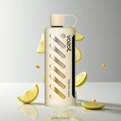 VOZOL Gear Shisha 25000 Puffs デュアルメッシュデュアルモード 30 Flavors 卸売業者 日本