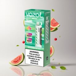 VOZOL Gear Shisha 25000 Puffs デュアルメッシュデュアルモード 30 Flavors 卸売業者 日本