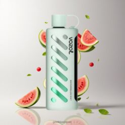 VOZOL Gear Shisha 25000 Puffs デュアルメッシュデュアルモード ウォーターメロンミント 卸売業者 日本