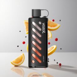 VOZOL Gear Shisha 25000 Puffs デュアルメッシュデュアルモード & スマートチップ S.i.L.C Tech 卸売業者 日本
