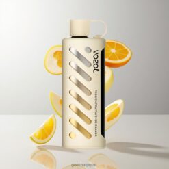 VOZOL Gear Shisha 25000 Puffs デュアルメッシュデュアルモード パッション フルーツ ライチ オレンジ 卸売業者 日本