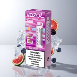 VOZOL Gear Shisha 25000 Puffs デュアルメッシュデュアルモード ブラックベリーアイス 卸売業者 日本