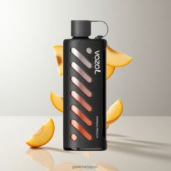 VOZOL Gear Shisha 25000 Puffs デュアルメッシュデュアルモード マンゴーピーチ 卸売業者 日本