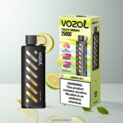 VOZOL Gear Shisha 25000 Puffs デュアルメッシュデュアルモード リモンミント 卸売業者 日本