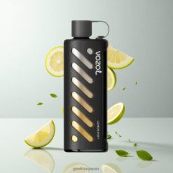 VOZOL Gear Shisha 25000 Puffs デュアルメッシュデュアルモード リモンミント 30 Flavors 卸売業者 日本