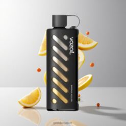 VOZOL Gear Shisha 25000 Puffs デュアルメッシュデュアルモード ＆Maiden Killer Vozol Gear Shisha 25000 Puffs Disposable Vape 卸売業者 日本