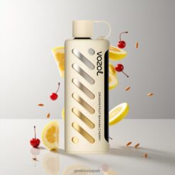 VOZOL Gear Shisha 25000 Puffs デュアルメッシュデュアルモード＆1000mAh バッテリー 卸売業者 日本