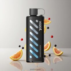 VOZOL Gear Shisha 25000 Puffs デュアルメッシュデュアルモード＆1000mAh バッテリー容量 卸売業者 日本