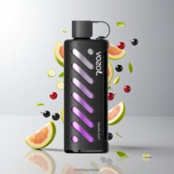 VOZOL Gear Shisha 25000 Puffs バッテリー容量1000mAh 卸売業者 日本 Grape Mint
