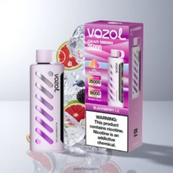 VOZOL Gear Shisha 25000 Puffs ブラックベリーアイス 1000mAhバッテリー 卸売業者 日本