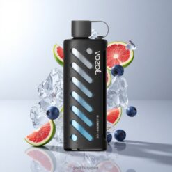 VOZOL Gear Shisha 25000 Puffs ブルーベリーアイス スマートチップ S.i.L.C Tech 卸売業者 日本