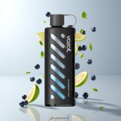 VOZOL Gear Shisha 25000 Puffs ブルーベリーミント 1000mAh バッテリー 卸売業者 日本 Dual Mesh Dual Modes