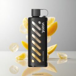 VOZOL Gear Shisha 25000 Puffs マンゴーフリーズ デュアルメッシュデュアルモード 1000mAh 5mg/ml 卸売業者 日本