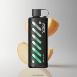 VOZOL Gear Shisha 25000 Puffs 日本語版 デュアルメッシュデュアルモード スマートチップ S.i.L.C Tech 卸売業者 日本