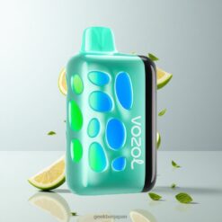 Vozol Rave 40000 ビートシンクパーティーモード搭載 デュアルメッシュコイル Cool Mint 卸売業者 日本