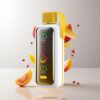 VOZOL Star 20000 Puffs 2.2インチHDミラー画面＆デュアルメッシュ 卸売業者 日本 Strawberry Mango