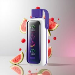 VOZOL Star 20000 Puffs 2.2インチHDミラー画面＆デュアルメッシュ ラズベリーウォーターメロン 卸売業者 日本