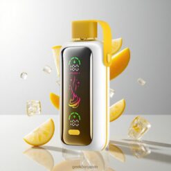 VOZOL Star 20000 Puffs ディスポーザブルベイプ 2.2インチHDミラースクリーン搭載 マンゴーアイス 卸売業者 日本