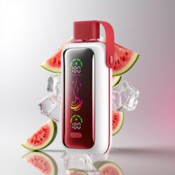 VOZOL Star 20000 Puffs デュアルメッシュ＆650mAh バッテリー スイカアイス 卸売業者 日本
