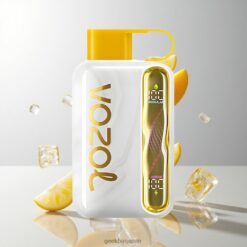 VOZOL STAR 40000 パフ 使い捨てベイプ – スマートLEDディスプレイ & デュアルモードMango Ice卸売業者 日本