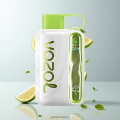 VOZOL STAR 40000 パフ 充電式 1000mAh リチャージャブル 卸売業者 日本
