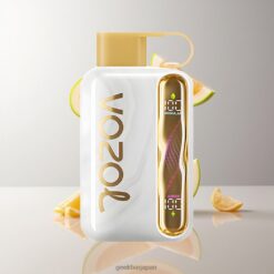 Vozol Star 40000 Puffs Disposable Vape リチャージャブル1000mAhバッテリーとスマートLEDディスプレイ搭載 卸売業者 日本 Melon Gum