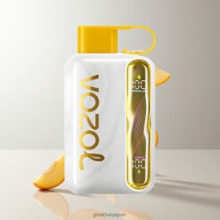 Vozol Star 40000 Puffs Disposable Vape 最大40000パフ スマートLEDディスプレイ搭載 卸売業者 日本
