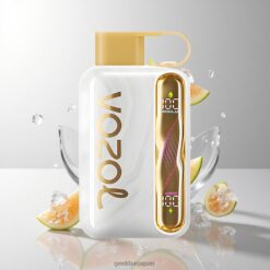 VOZOL STAR 40000パフ リチャージャブル デュアルモード スマートLED搭載 卸売業者 日本 Melon Ice