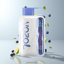 VOZOL STAR 40000パフ 使い捨てベイプ 1000mAh充電式 Type-C急速充電 Blueberry Mint 卸売業者 日本