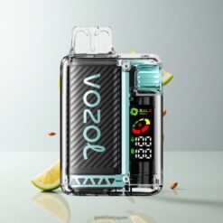 VOZOL Vista 20000 Puffs リチウム電池650mAh搭載 & Miami Mint 卸売業者 日本