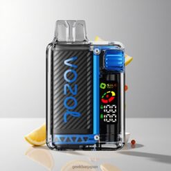 VOZOL Vista 20000 Puffs リチャージャブルバッテリー650mAh & 2%ニコチン濃度 卸売業者 日本