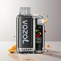 VOZOL Vista 20000 Puffs リチャージャブルバッテリー650mAh ニコチン濃度2% 卸売業者 日本