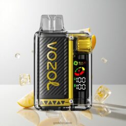 VOZOL Vista 20000 Puffs リチャージャブルバッテリー650mAh ニコチン濃度2% 卸売業者 日本 Mango Ice