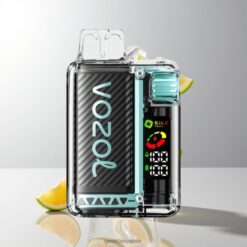 VOZOL Vista 20000 Puffs リチャージャブルバッテリー650mAh & ニコチン濃度2% 卸売業者 日本 Sour Apple Ice