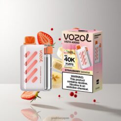 VOZOL VISTA 40000 最大40,000パフ 4段階ワット数制御 USB-C急速充電 2%ニコチン 卸売業者 日本 Strawberry Banana
