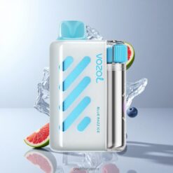 VOZOL VISTA 40000 Puffs 革新的デュアルメッシュコイル技術と高速USB-C充電搭載 卸売業者 日本 Blue Razz Ice