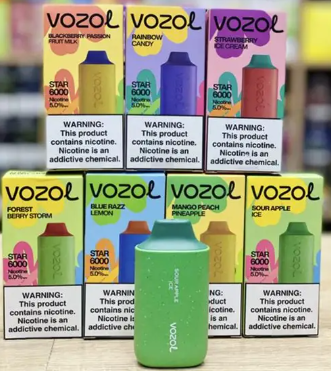 VOZOL STAR 6000 Disposable Vape