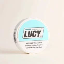 Lucy Goods ウィンターグリーン ニコチンポーチ