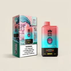 BANG KING 50000パフ DSK042 デュアルプロファイル 使い捨てVAPE