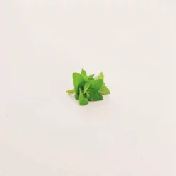 FlavorPure 天然水溶性スペアミント香料